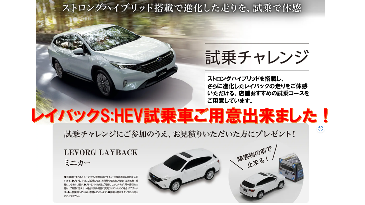 VL SHEV マイスバル&ブログ配信用POP